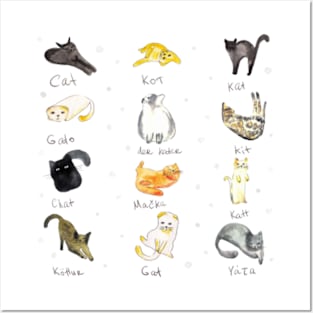 Cute funny cats. Cat in different languages. Posters and Art